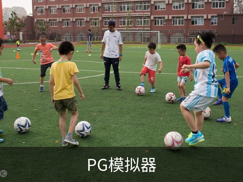 PG模拟器简介